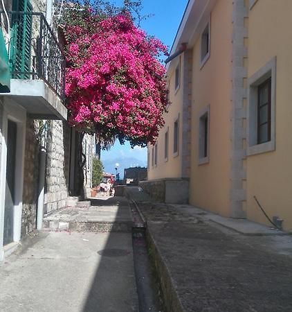 Nataliia Twister Apartment Budva Exteriér fotografie